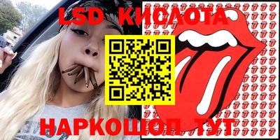 крисы Кулебаки