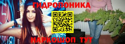 крисы Кулебаки