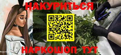 крисы Кулебаки