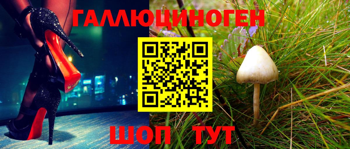 Галлюциногенные грибы Cubensis Тихорецк