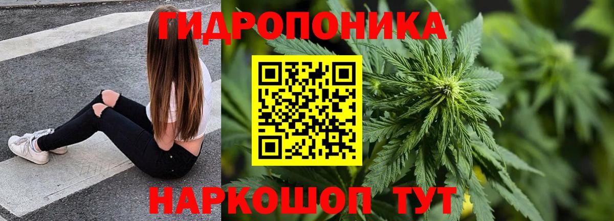 Шишки марихуана OG Kush Тихорецк